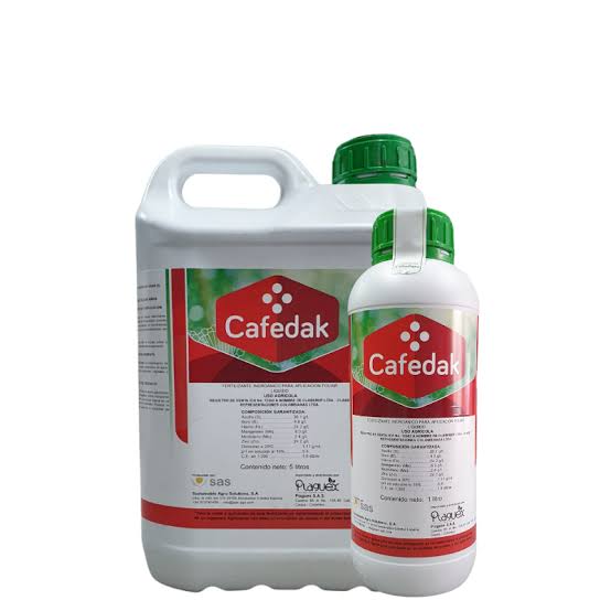Cafedak
